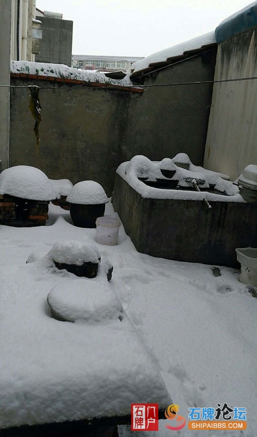 石牌下雪.jpg