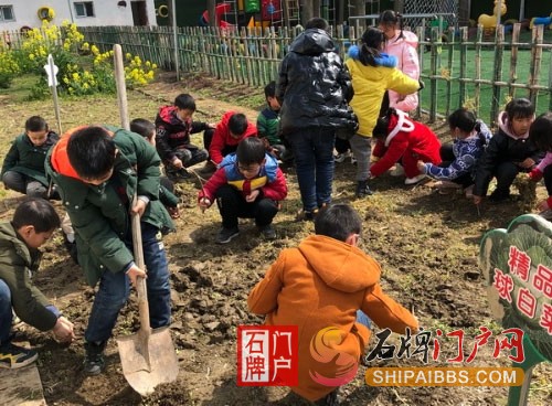 石牌镇王龙小学学生种植现场.jpg